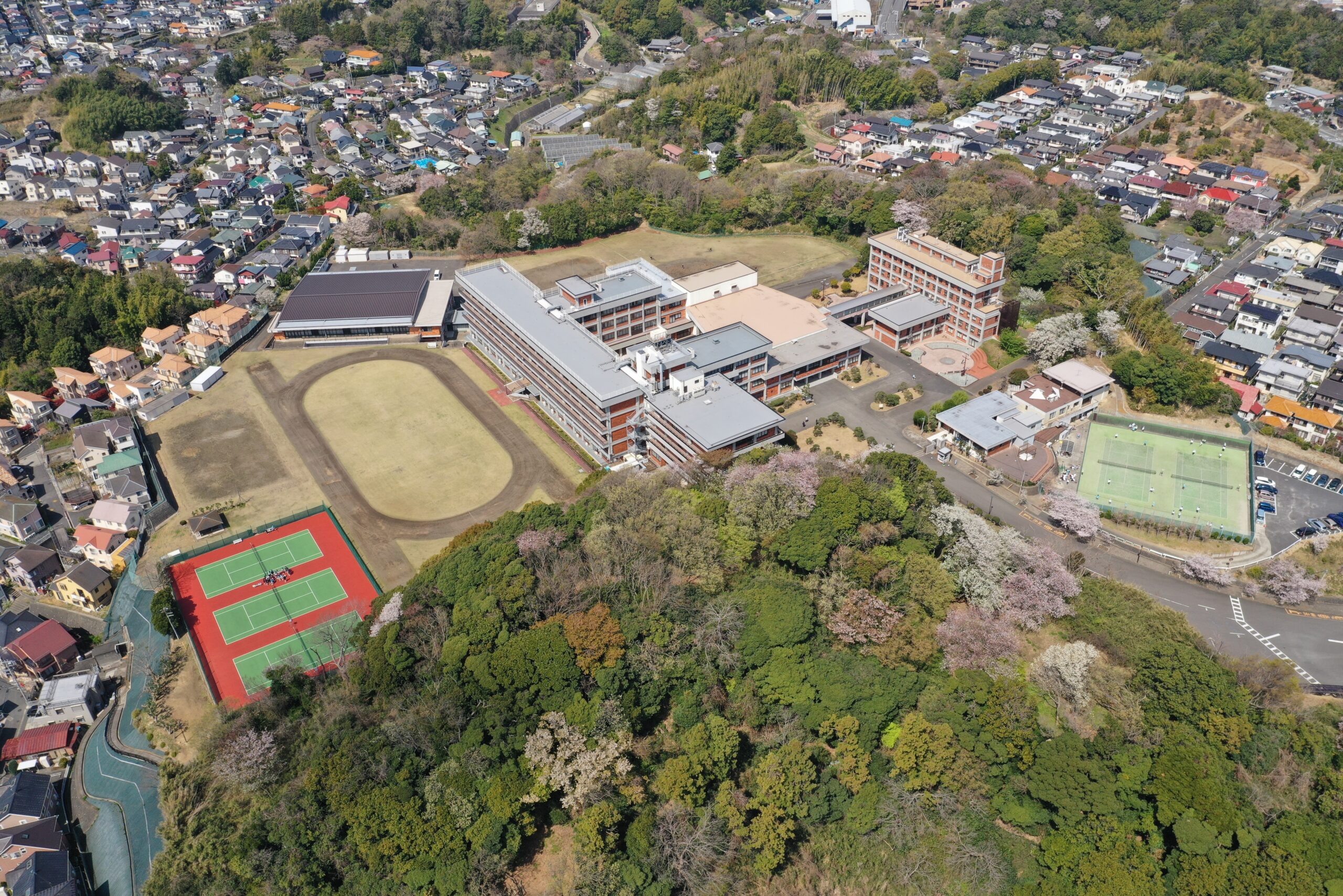 清泉女学院中学校 H30年度用 過去5年分収録 (中学別入試問題シリーズO20) [単行本] 東京学参 編集部 清泉女学院中学校 2020年度用 《過去5年分収録》 (中学別入試
