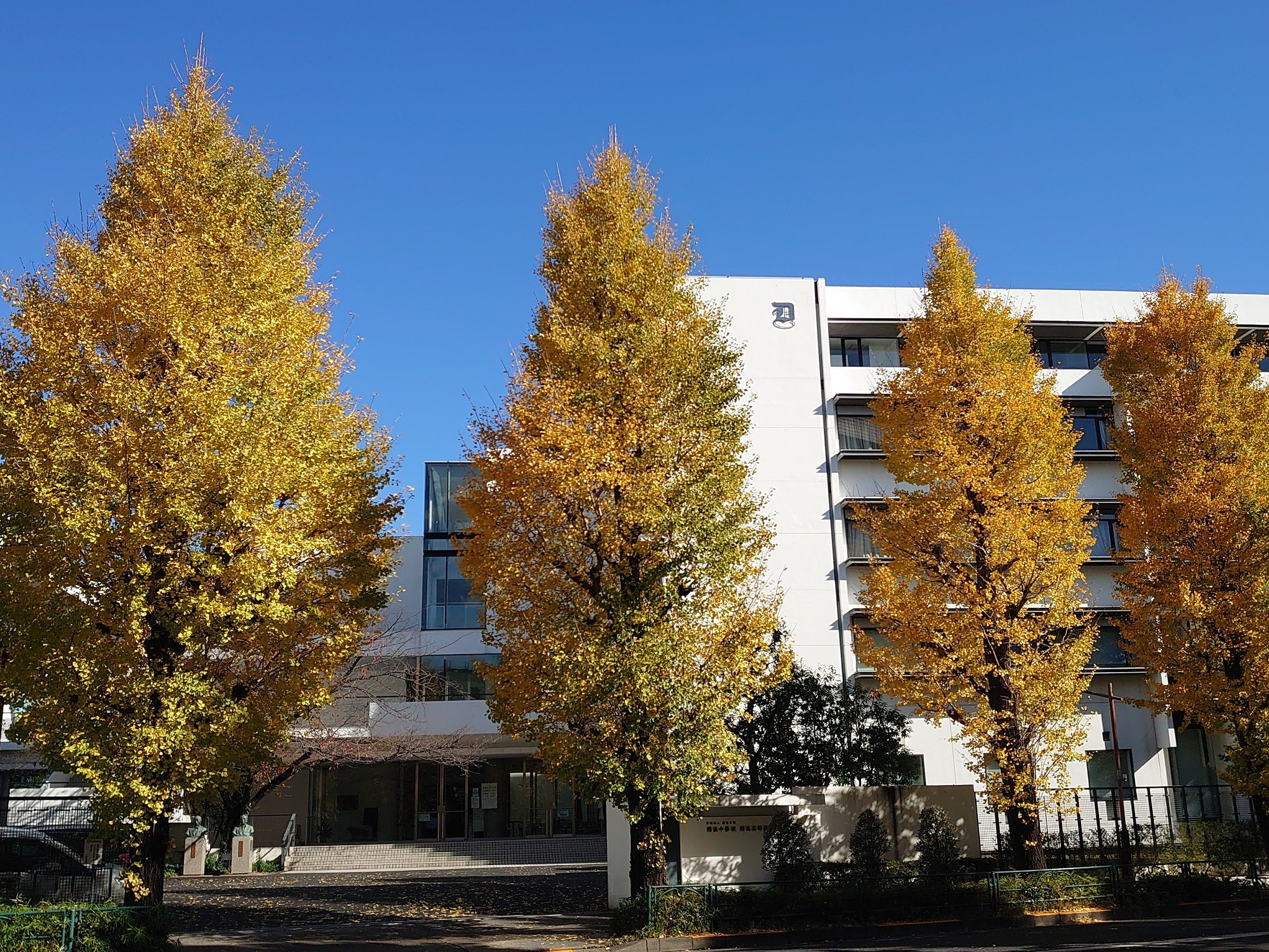 激レア 獨協学園 獨協大学 獨協 100周年 獨協中学 獨協高校 レコード 国際交流教育の先駆け！獨協中学校・獨協高等学校。難関大学合格